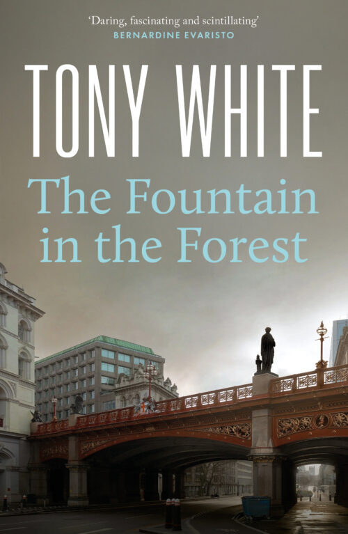 The Fountain in the Forest